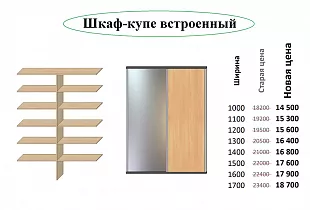 Шкаф-купе ШК-001