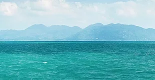 ФМ-028 стеновая панель
