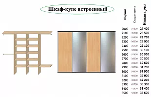 Шкаф-купе ШВ-010